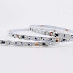 5050RGBW60HY24V-FN12-W-DMX512-10D4T